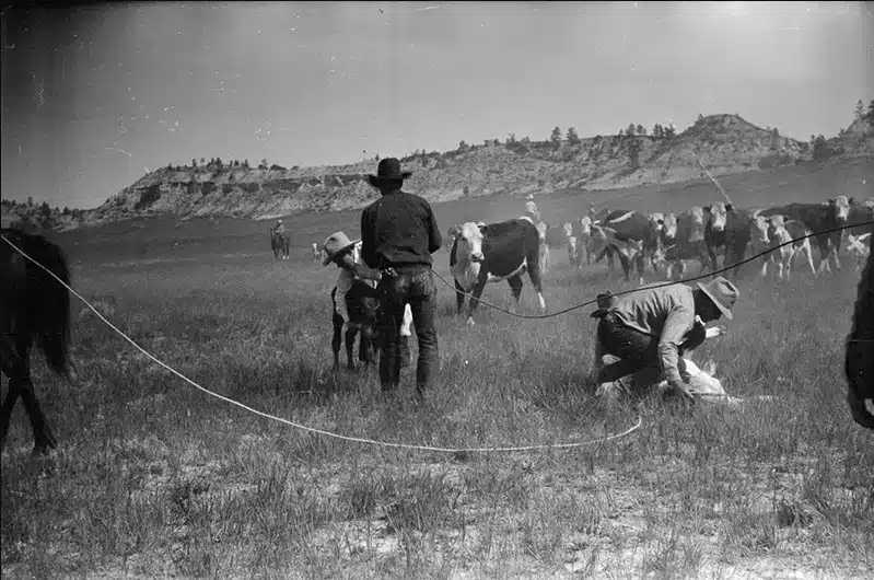Properties in the Rocky Mountain West: NF Ranch on the Musselshell River