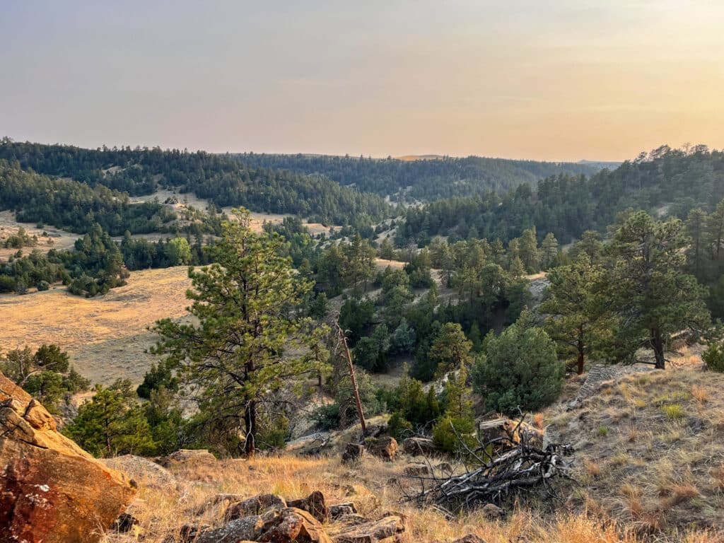 Grassy hills covered with trees and shrubs under a hazy sky, with rocky outcrops in the foreground and dense forest stretching into the distance—an ideal recreational land or hunting property with serene natural beauty.