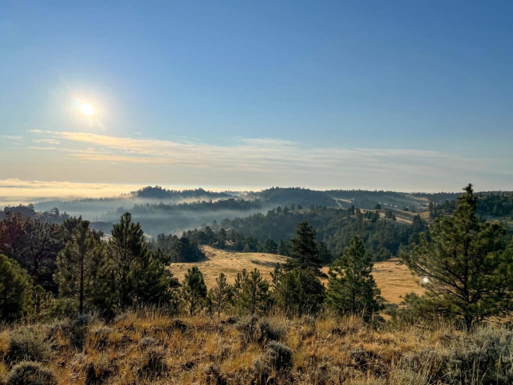A scenic view of rolling hills with scattered pine trees under a clear blue sky at sunrise. Sunlight illuminates the landscape and mist lingers in the valleys, perfect for a peaceful cattle ranch or hunting property.
