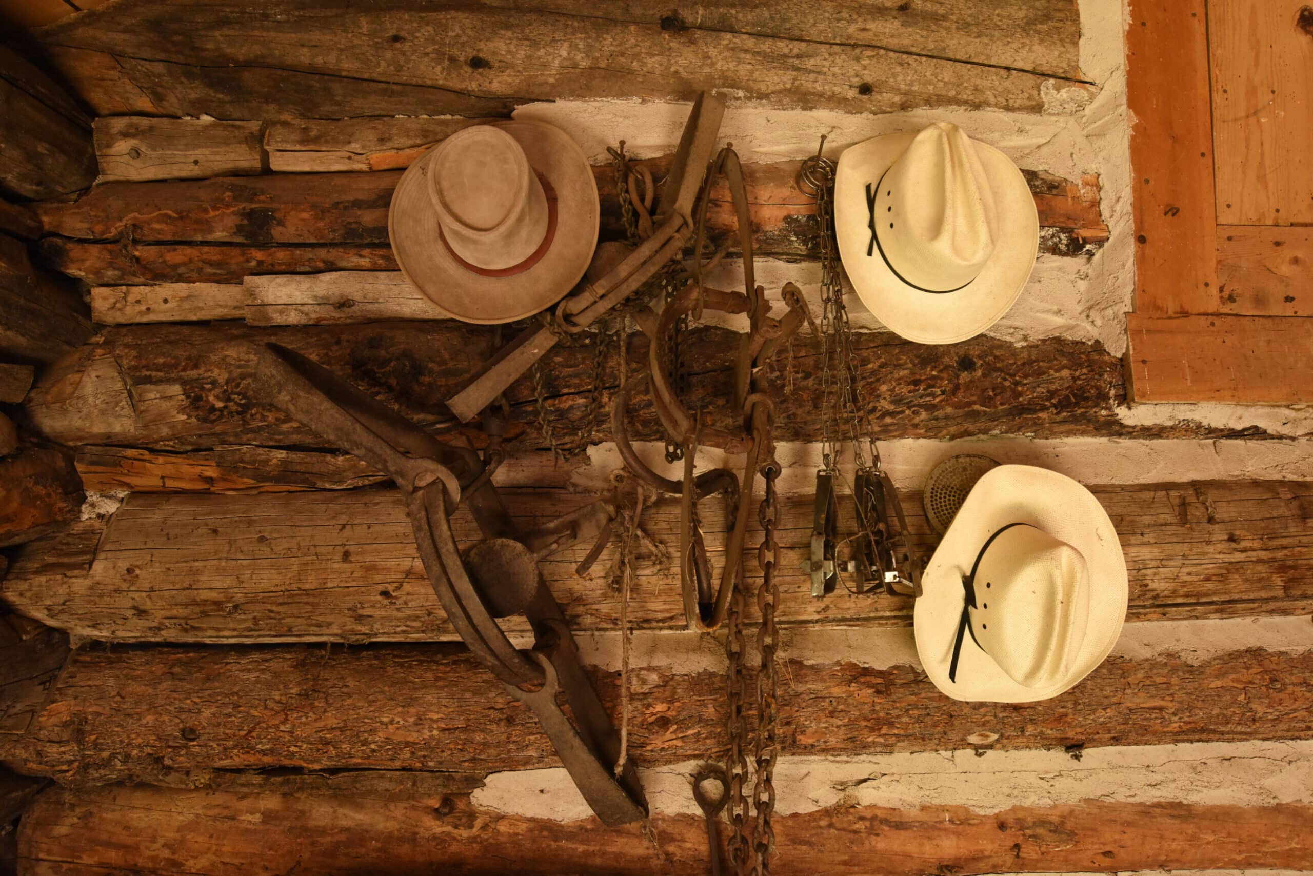 Three cowboy hats hang on a log cabin wall alongside vintage ranch tools and metal chains, creating a rustic Western scene perfect for a hunting property or cattle ranch, with warm, earthy tones.
