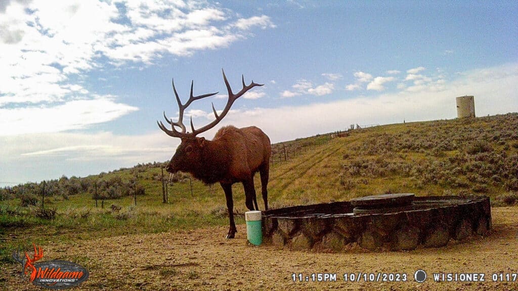 A large elk with impressive antlers stands beside a stone watering trough on open grassy land under a partly cloudy sky. A green and white container sits near the trough—perfect scenery for a ranch for sale or hunting property.
