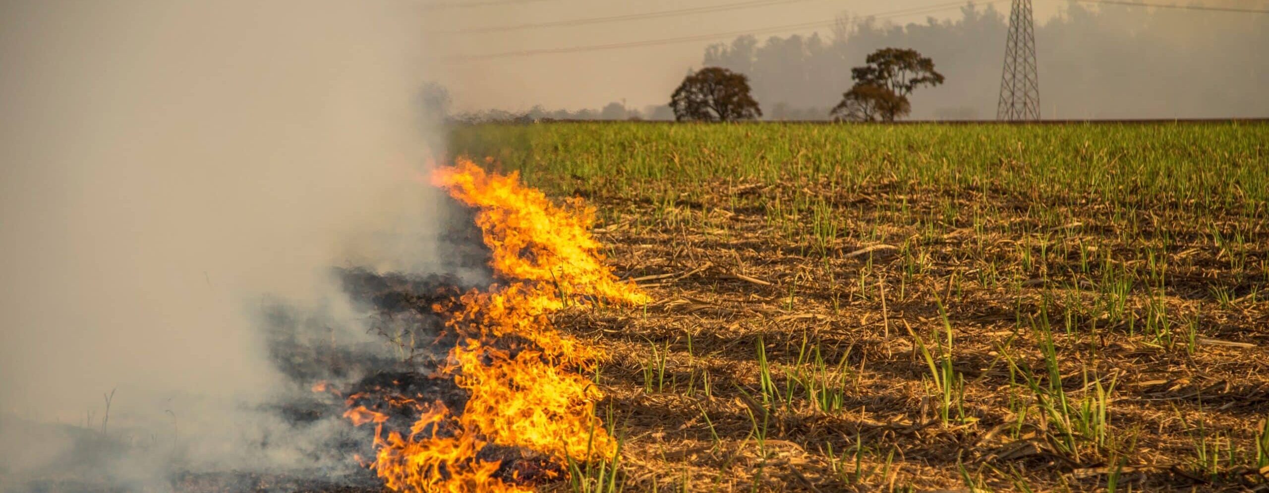 A line of fire burns across a dry field, sending thick smoke into the air. Green crops grow in the background, with trees and a utility pole visible under a hazy sky—ideal recreational land or hunting property.