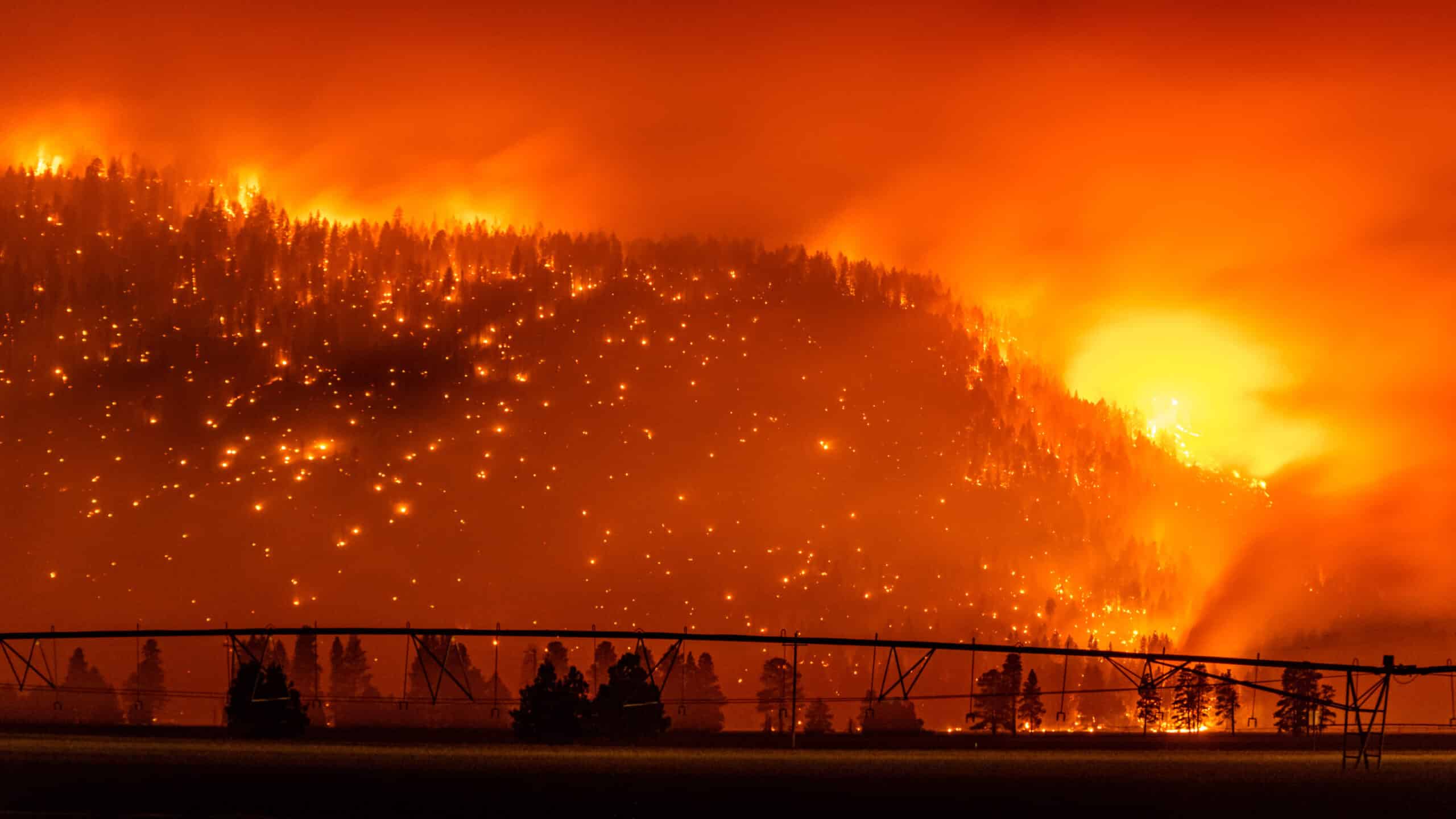 A massive wildfire engulfs a forested hillside at night, with intense orange flames and smoke illuminating the sky. In the foreground, silhouettes of trees and an irrigation system highlight the surrounding recreational land.