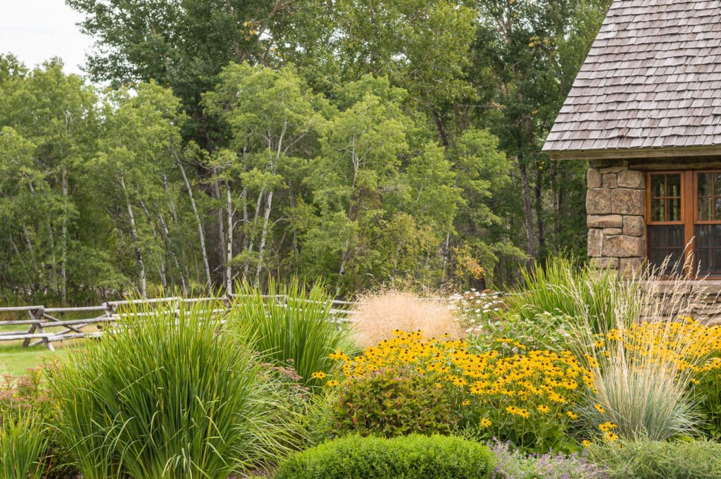 A lush garden with tall grasses and yellow and white flowers sits in front of a rustic stone house on a charming cattle ranch, with a wooden fence and dense green trees in the background.