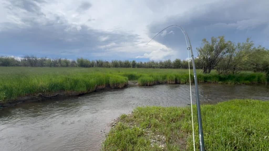 A fishing rod is bent over a grassy riverbank on recreational land, suggesting a fish is on the line. The river flows gently under a cloudy sky with green trees and grass along the banks.