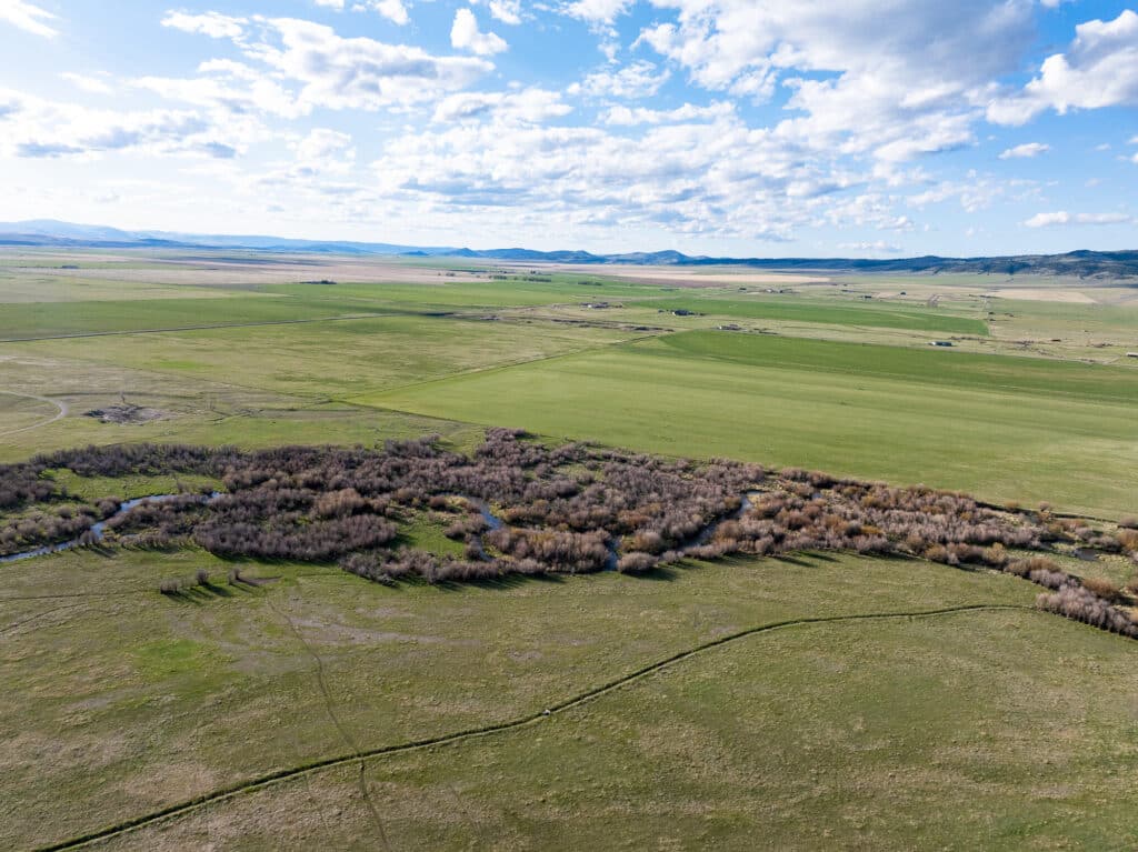 Aerial view of a vast green plain with a cluster of trees along a winding creek, ideal as recreational land or hunting property, under a blue sky filled with scattered clouds and mountains visible in the distant background.