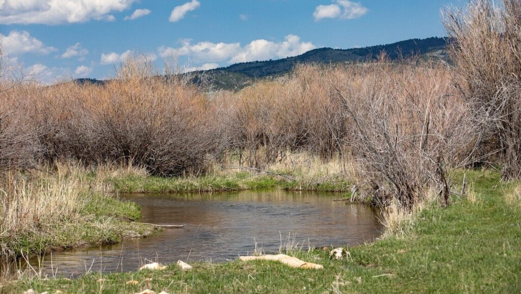 A small, clear stream curves through grassy recreational land bordered by leafless bushes, with distant green hills and a blue sky with scattered clouds in the background—ideal hunting property or land for sale.