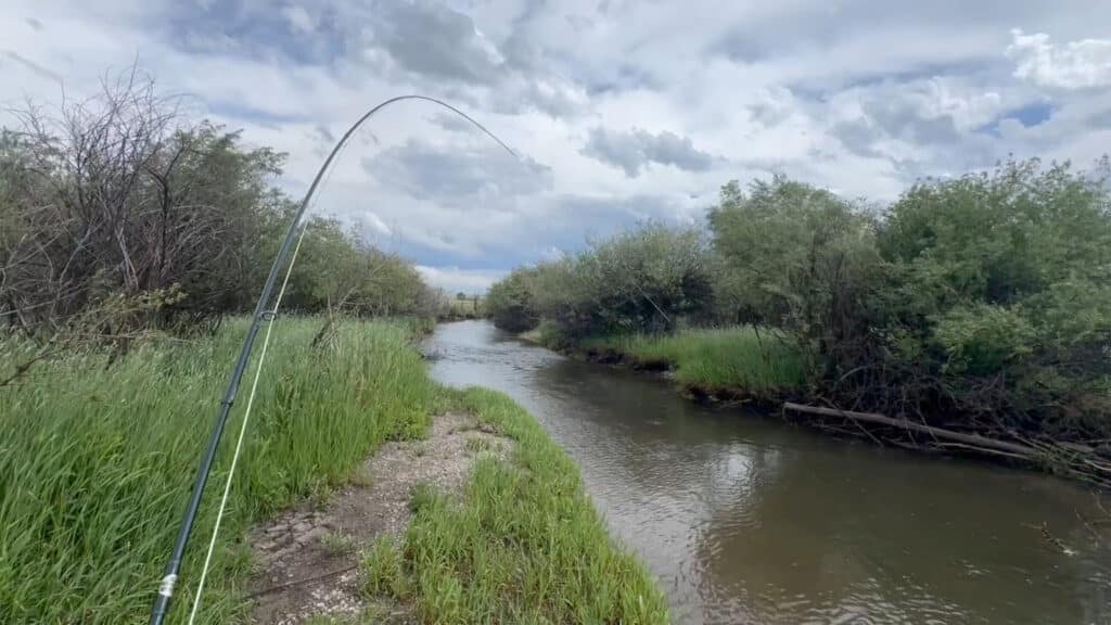 A fishing rod bends over a narrow, winding creek bordered by tall green grass and shrubs under a cloudy sky, capturing the peaceful charm of hunting property or land for sale.