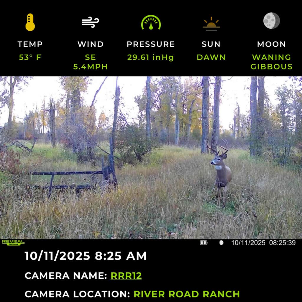 A trail camera photo shows a deer with antlers standing in tall grass on recreational land at dawn. The screen displays weather data and camera details, including temperature, wind, date, time, and location.