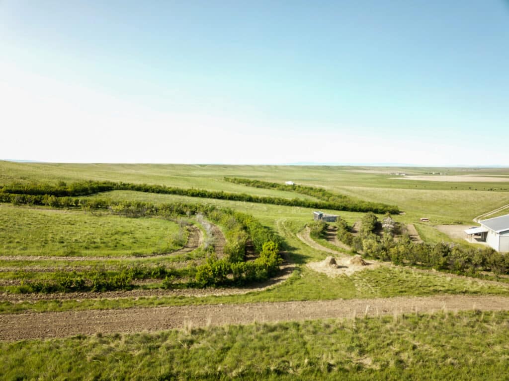 Aerial view of recreational land with green fields, dirt paths, scattered trees, and a small building or shed under a clear blue sky—ideal land for sale perfect for your next cattle ranch dream.
