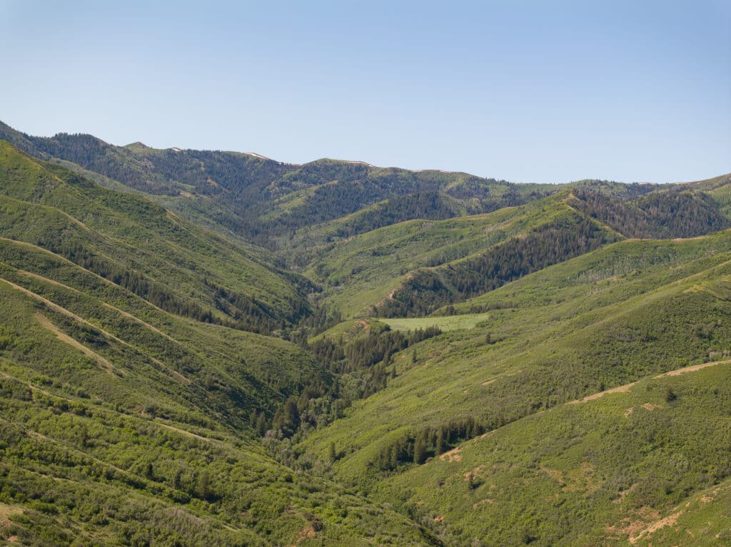 USFS Land vs BLM Land, What Is The Difference?