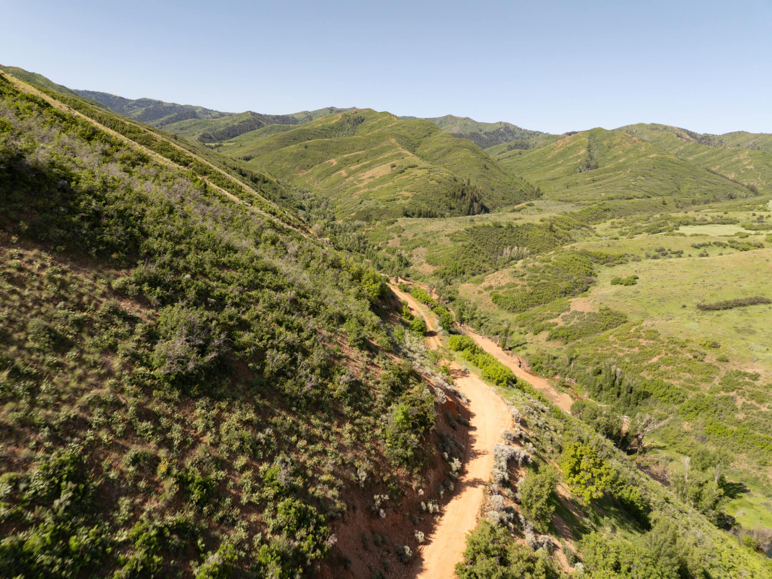 A dirt trail winds through green, rolling hills under a clear blue sky, surrounded by lush vegetation and open grassland—perfect land for sale or an ideal cattle ranch setting.