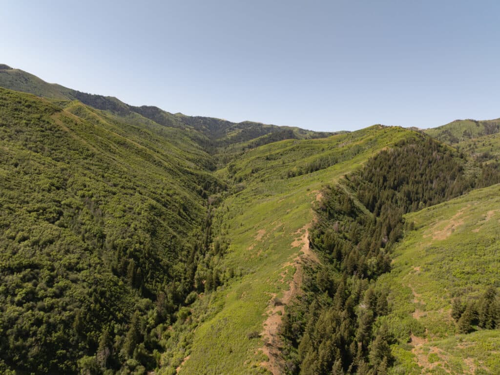 A scenic view of lush green hills and valleys under a clear blue sky, with patches of dense trees and shrubbery covering this beautiful recreational land for sale.