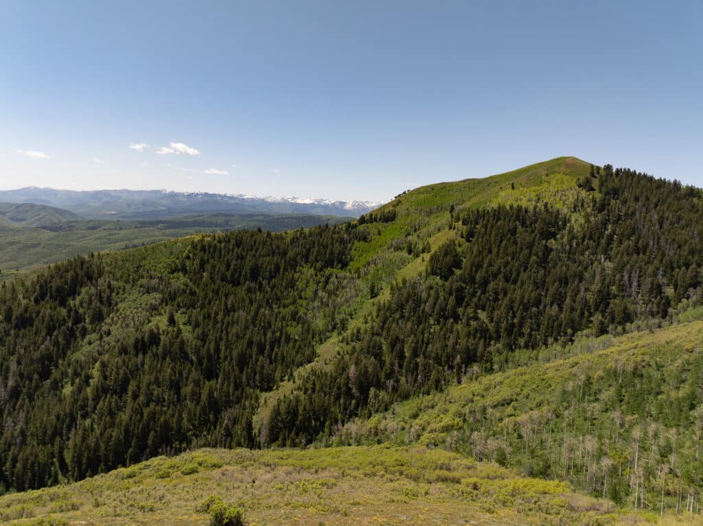 A scenic view of a green, forested mountain ridge under a clear blue sky, with distant snow-capped mountains on the horizon—ideal land for sale, perfect for a tranquil hunting property or private retreat.