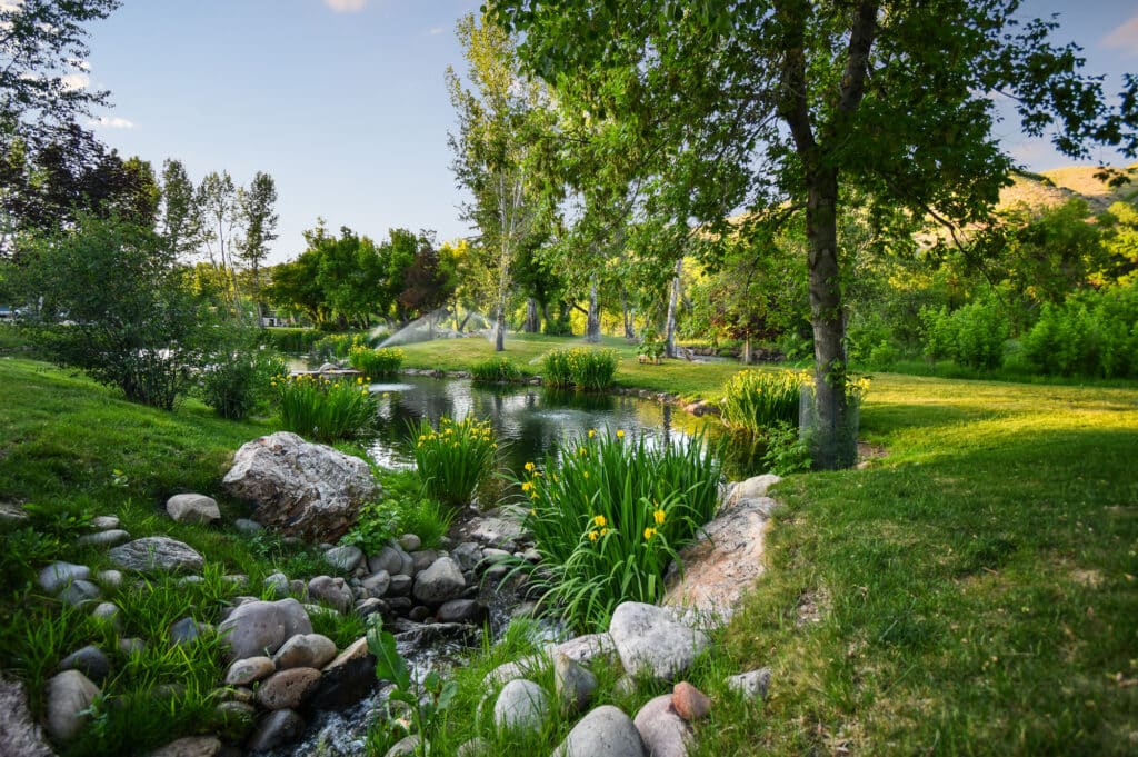 A peaceful park scene with a small pond surrounded by lush green grass, trees, rocks, and yellow flowers under a clear blue sky. Sunlight filters through the trees, evoking the tranquility of a cattle ranch nestled in nature.