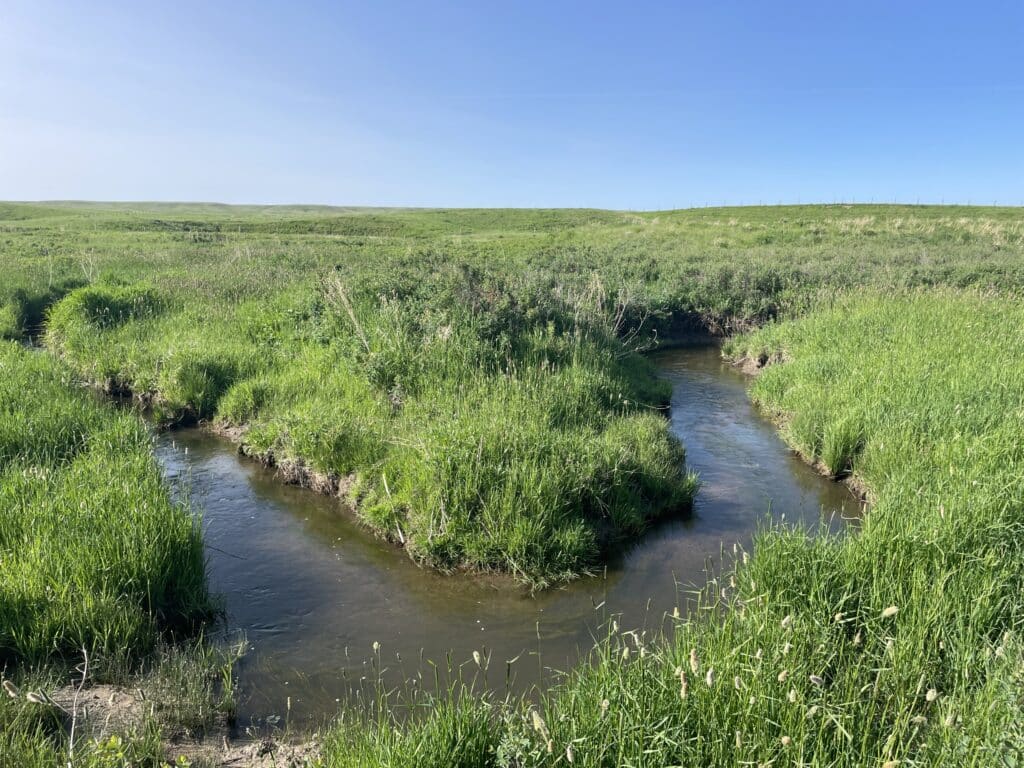 A small, clear stream curves through lush green grass and vegetation under a bright blue sky, with open fields stretching into the distance—an ideal hunting property or recreational land.