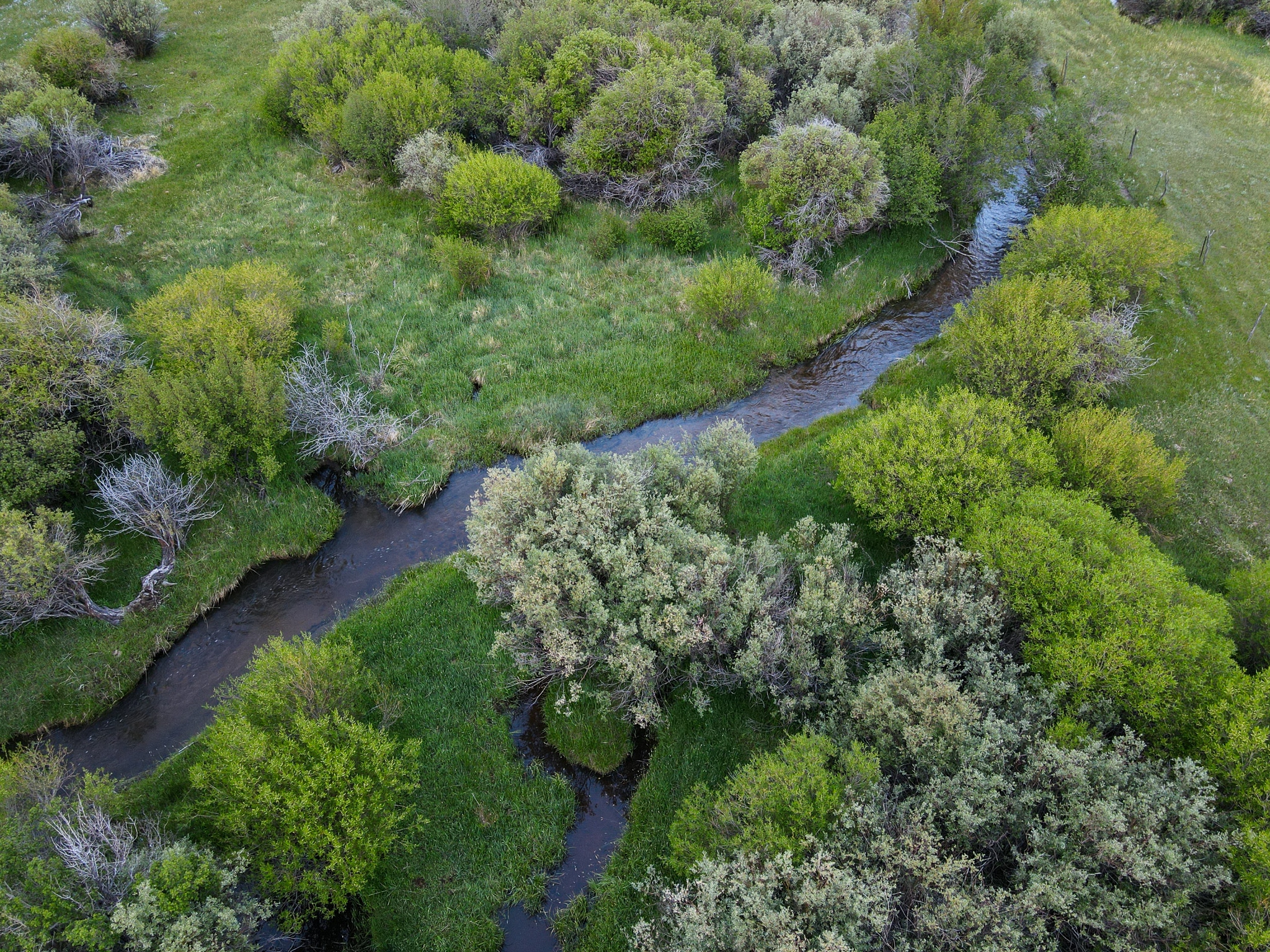 A winding stream flows through lush green grass and dense shrubs, bordered by trees and bushes, seen from above in a vibrant natural landscape—ideal recreational land or potential hunting property.