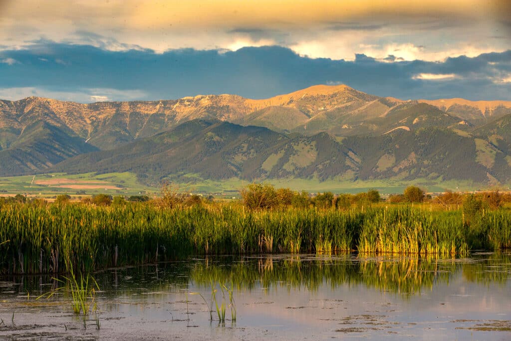 A scenic wetland with tall grasses in the foreground, reflecting water, and a backdrop of green foothills and rugged mountains under a partly cloudy sunset—a stunning recreational land opportunity or cattle ranch.