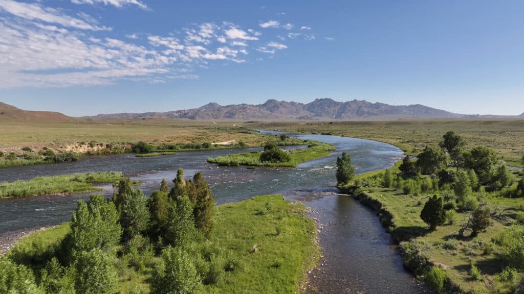 A wide river winds through a green valley with scattered trees, ideal recreational land flowing toward distant mountains under a blue sky with scattered clouds.