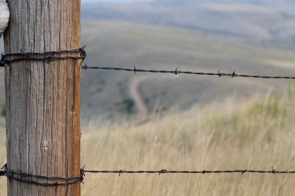 barbwire