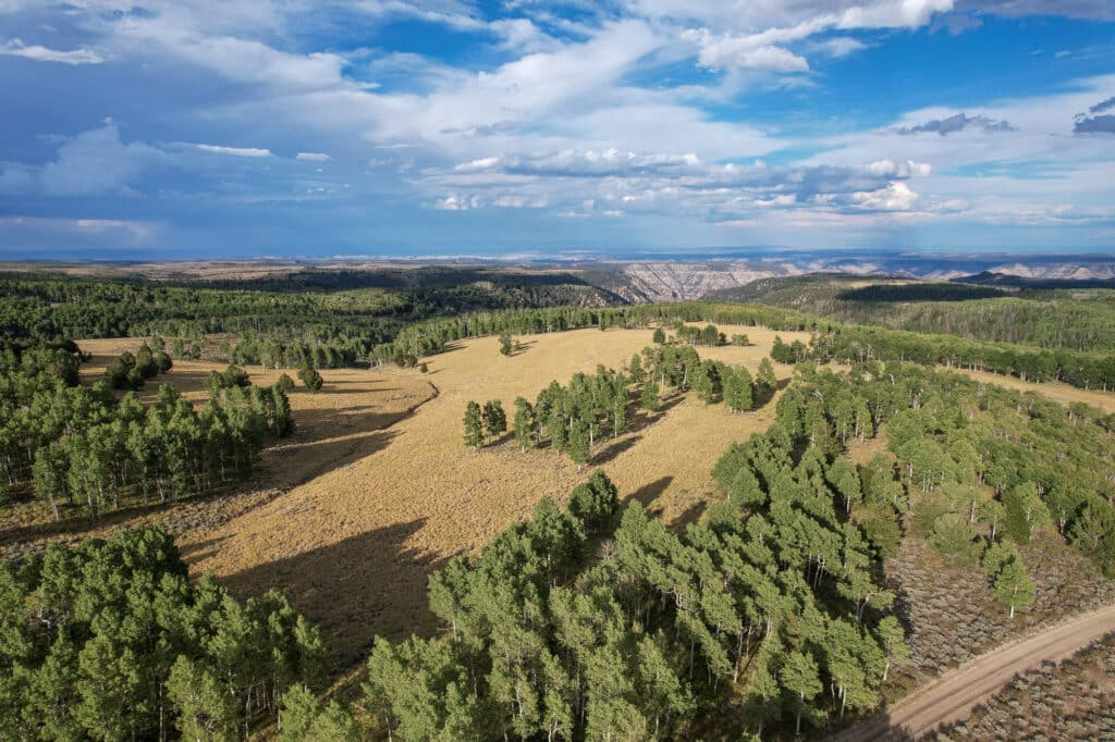 Range Valley Mountain Carbon County, UT