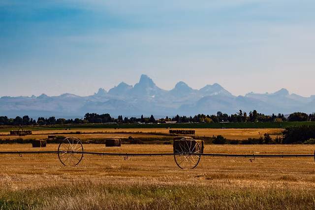 Golden fields with hay bales and irrigation wheels in the foreground, green pastures in the midground, and jagged mountain peaks under a blue sky make this cattle ranch for sale an exceptional hunting property.