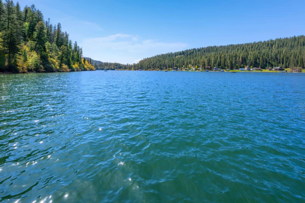 A clear blue lake surrounded by dense pine forests under a bright, sunny sky. The water ripples gently, and cabins dot the far shoreline amid the trees—ideal recreational land or hunting property for those seeking nature’s tranquility.