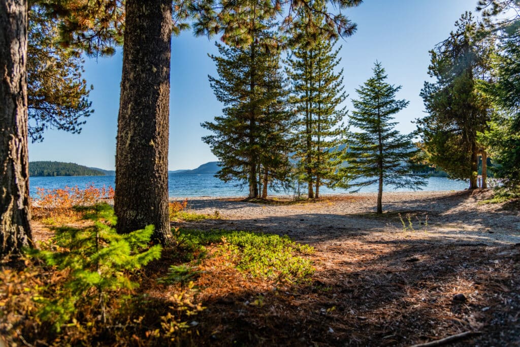 A sunlit forest clearing with pine trees overlooks a calm lake and distant hills under a clear blue sky. Sunlight casts shadows on the sandy and grassy ground, making this recreational land ideal for outdoor enjoyment.