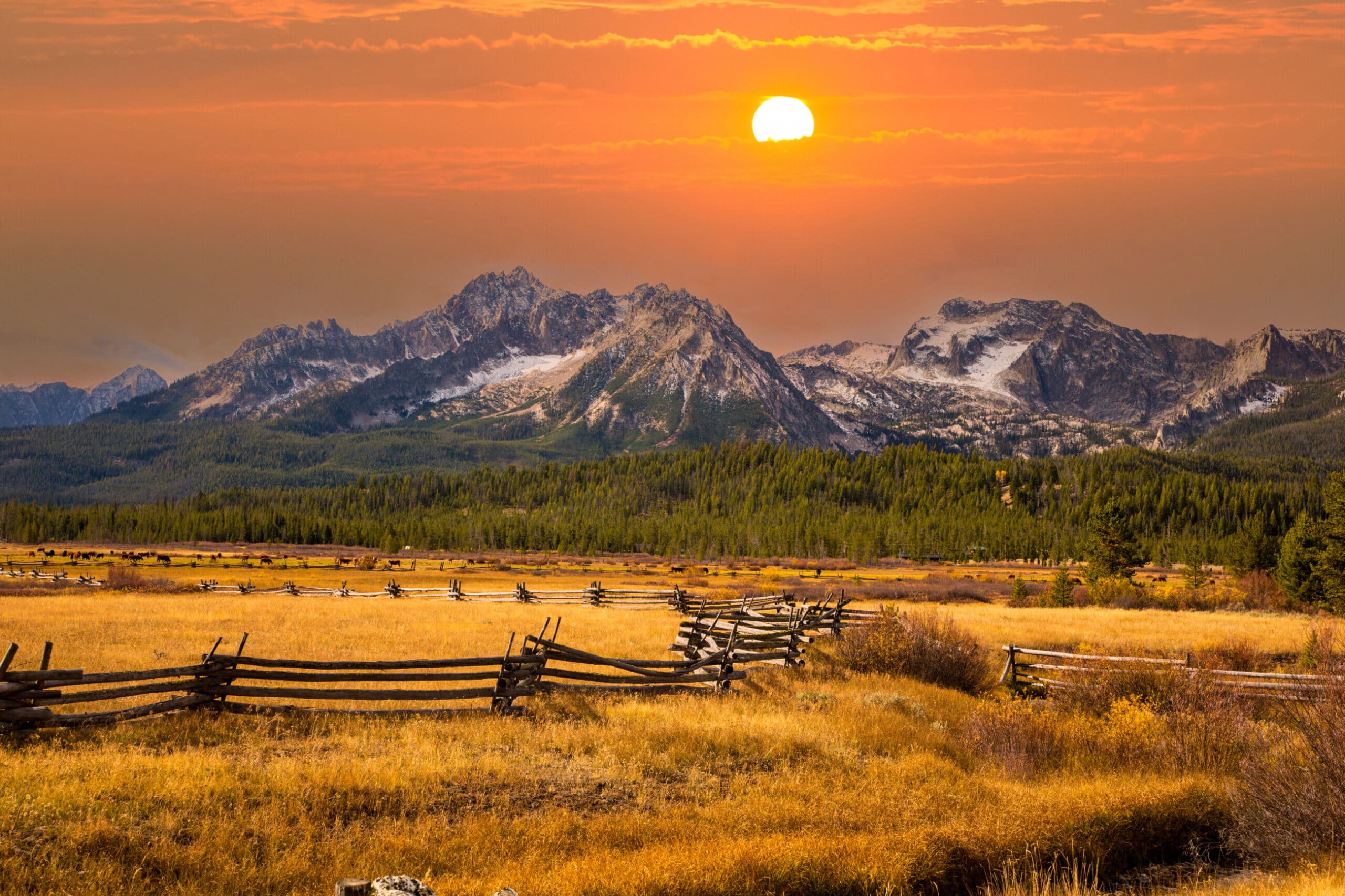 The sun sets over a mountain range with jagged peaks, lighting up an orange sky. In the foreground, a rustic wooden fence winds through a golden field—perfect scenery for a ranch for sale—with trees and mountains in the background.