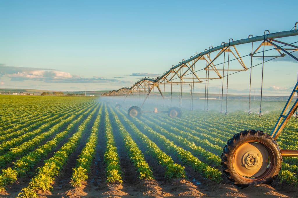 A large irrigation system sprays water over rows of green crops on a vast ranch for sale, with sunlight illuminating the plants and landscape beneath a clear blue sky.