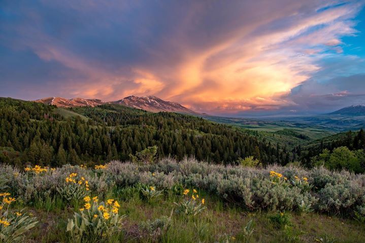 A vibrant sunset lights up clouds over a mountain range, with dense green forests and scattered yellow wildflowers in the foreground—perfect recreational land or cattle ranch, transitioning from lush hills to distant peaks and an open valley.