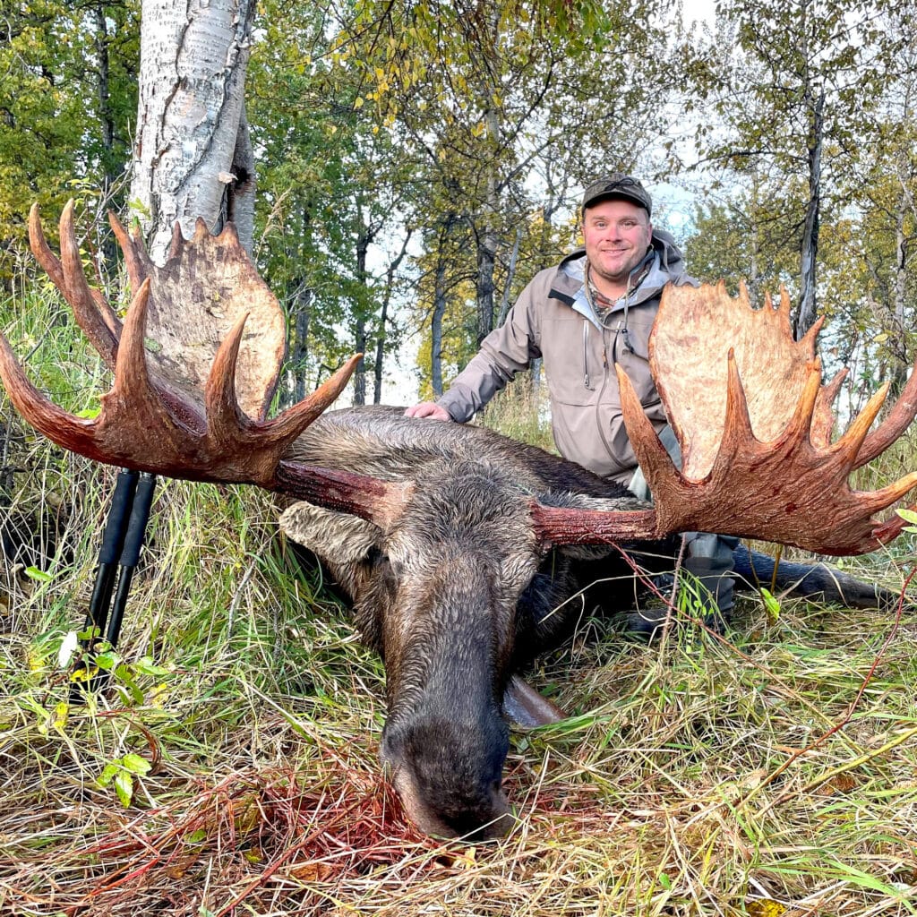 A man kneels behind a large moose with wide antlers, lying on the grass in a wooded area. The scene highlights the appeal of hunting property, with a rifle resting against a nearby tree and leaves scattered on the ground.