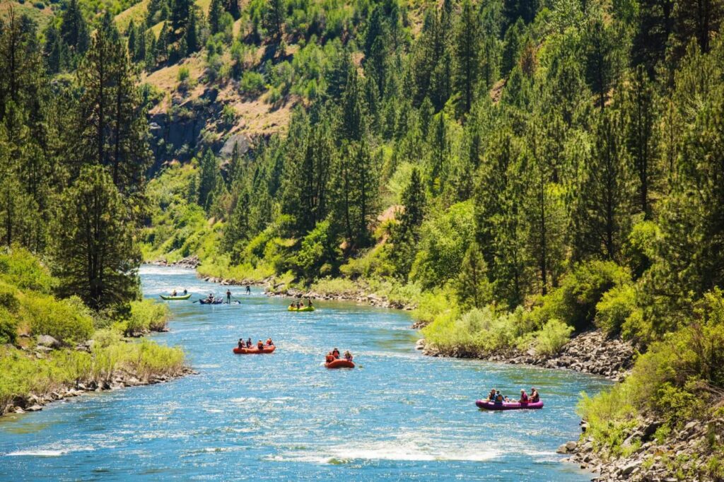 Several groups of people are rafting down a winding river surrounded by lush green trees and forested hills under bright sunlight, the perfect setting to enjoy recreational land or explore a potential ranch for sale.