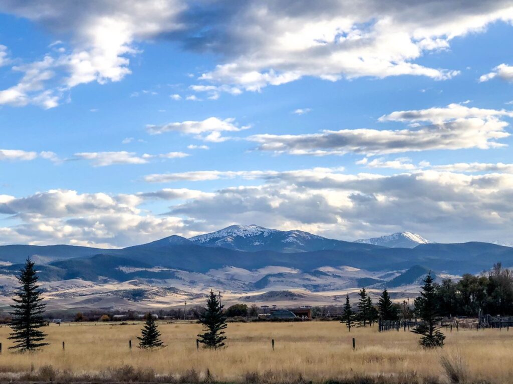 A scenic landscape with snow-capped mountains in the distance, rolling hills, scattered evergreen trees, and a grassy field under a partly cloudy blue sky—perfect land for sale for your dream cattle ranch.