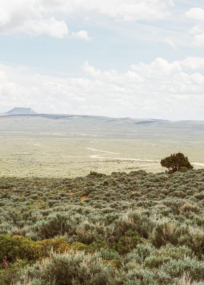 Wide, open landscape with dense green shrubs in the foreground, a single tree to the right, and a distant flat-topped mountain under a partly cloudy sky. A winding dirt road crosses this beautiful ranch for sale.