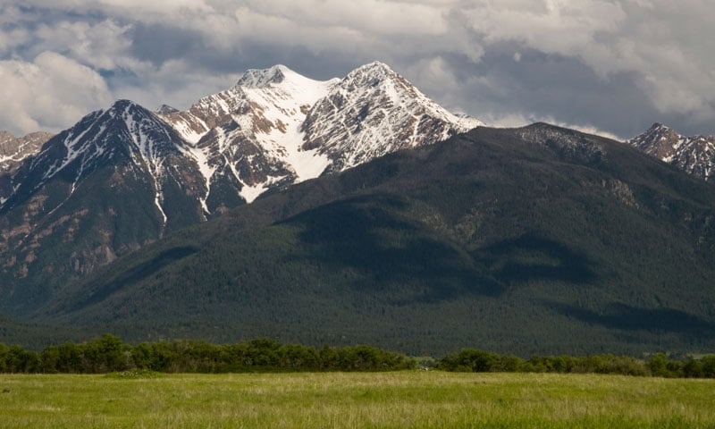 Snow-capped mountain peaks rise above dark forested slopes under a cloudy sky, with a green grassy field in the foreground—ideal as recreational land or a peaceful cattle ranch.