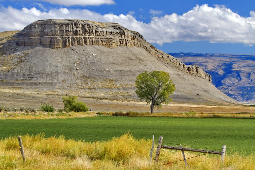 A rocky, flat-topped hill rises behind a green field and a lone tree—perfect as recreational land—with yellow grasses in the foreground and mountains under a blue sky with scattered clouds in the background.