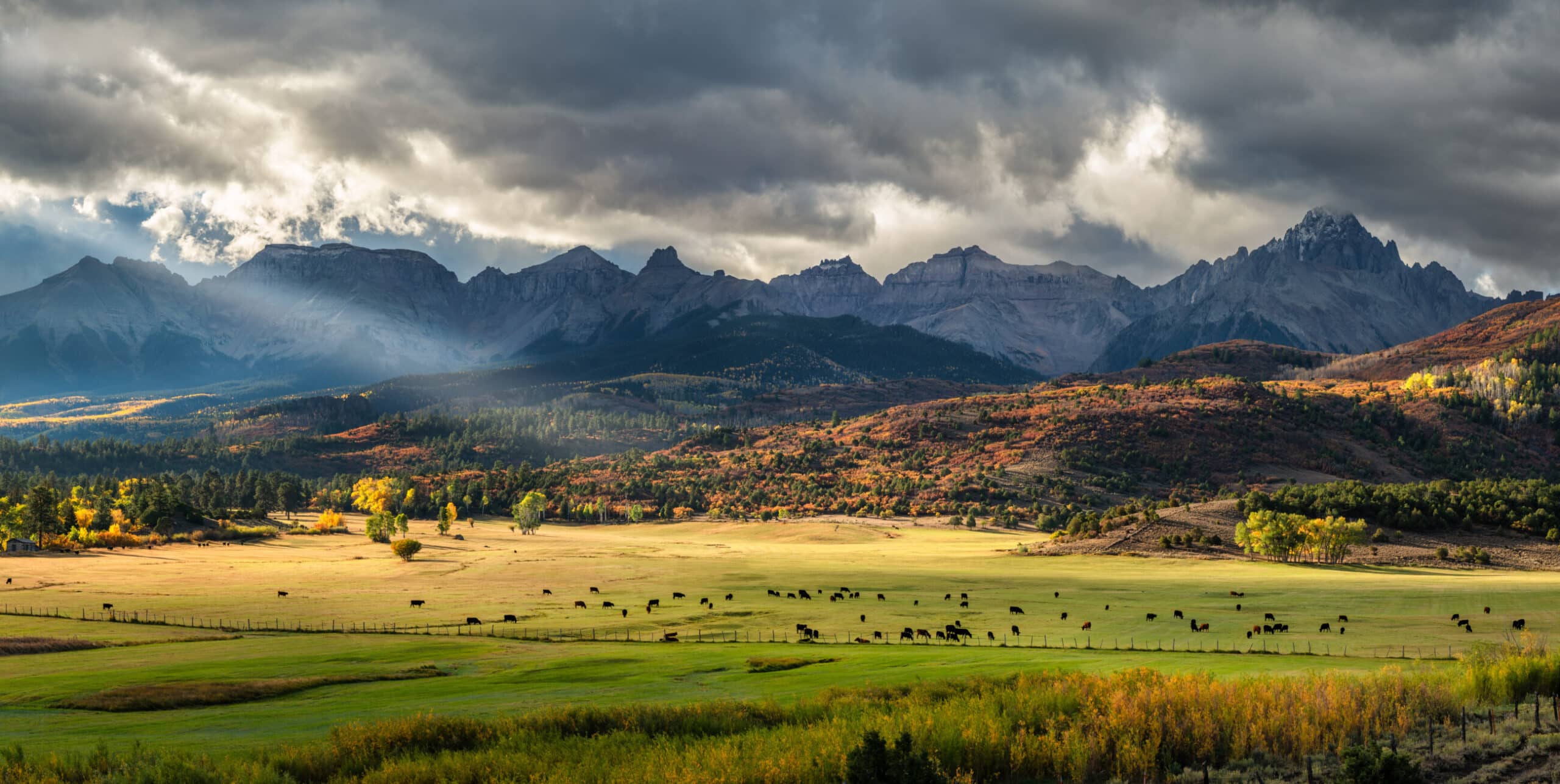 A scenic landscape of a sunlit green valley on a prime cattle ranch with grazing cattle, autumn-colored hills, and dramatic mountain peaks under a cloudy sky with sunbeams breaking through. Perfect land for sale.
