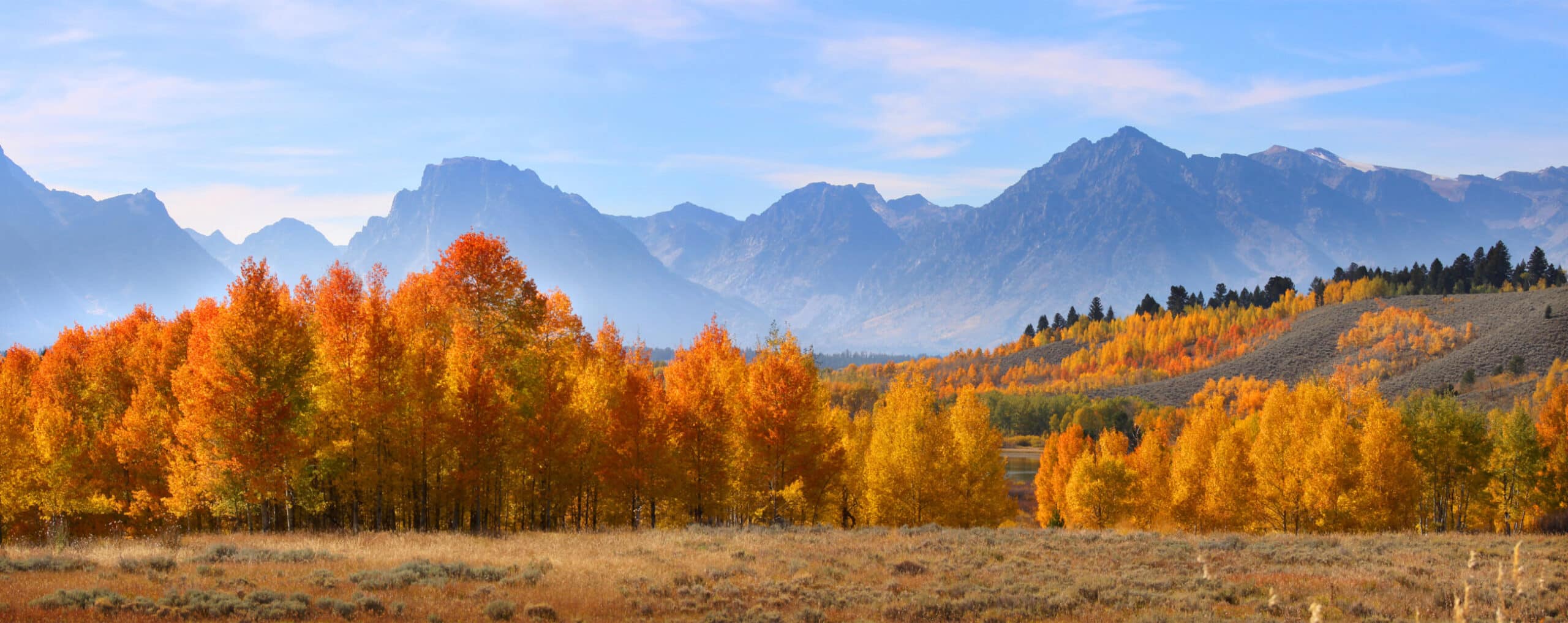A vibrant autumn landscape with orange and yellow trees in the foreground, rolling hills, and tall, rugged mountains under a blue sky—a picturesque scene perfect for a cattle ranch or hunting property.