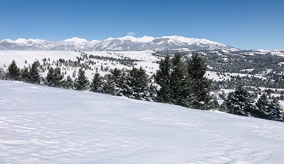 Snow-covered landscape with evergreen trees in the foreground and distant mountains under a clear blue sky. This bright, serene hunting property offers a true winter wonderland—ideal for your dream cattle ranch or ranch for sale.