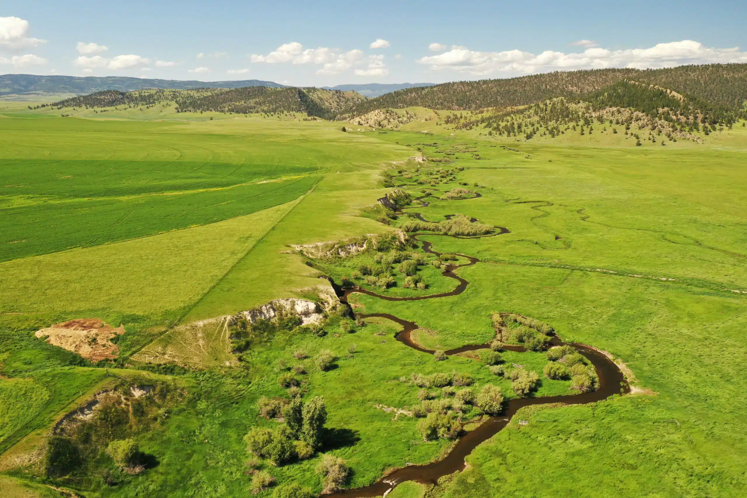 A winding river flows through a lush green valley with grassy fields and scattered trees, ideal as recreational land or hunting property, bordered by distant rolling hills under a blue sky with scattered clouds.