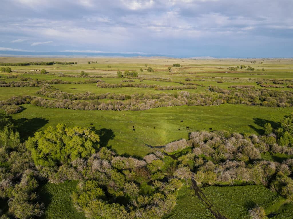 south spring creek ranch