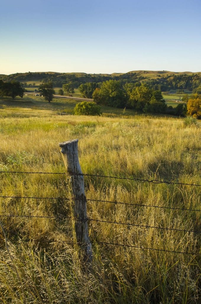 A wooden fence post with barbed wire stands in a sunlit grassy field on recreational land, surrounded by rolling green hills, scattered trees, and a clear blue sky. Ideal land for sale for those seeking natural beauty or potential hunting property.