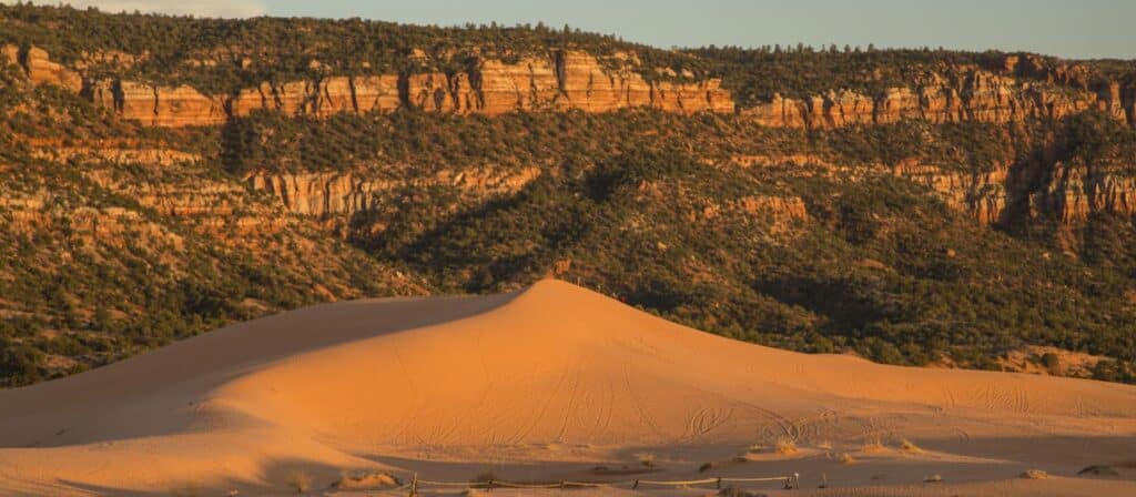 A sunlit sand dune with tire tracks rises in the foreground of this land for sale, set against rugged red rock cliffs and pine trees under a clear sky.