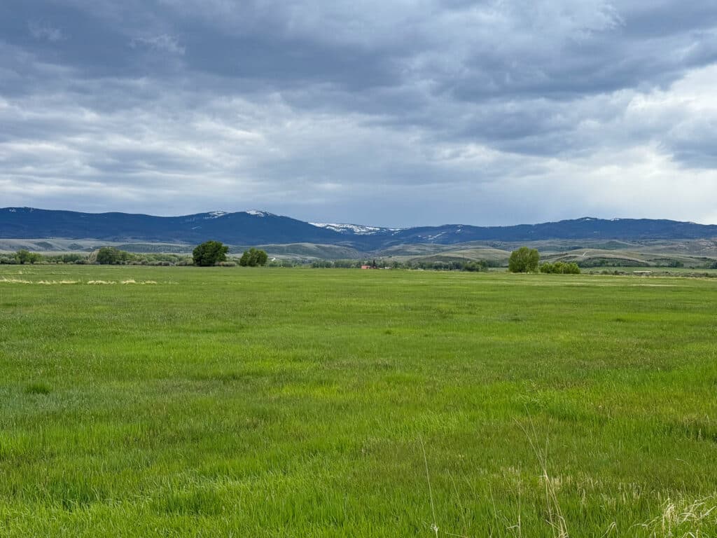 A wide green field stretches toward distant hills and mountains, with patches of snow on the peaks under a cloudy sky. Scattered trees dot this calm and serene landscape, ideal as a cattle ranch or hunting property.
