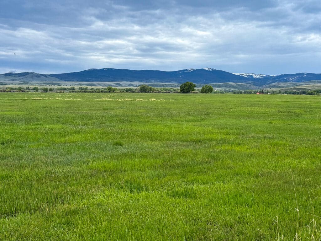 A wide, lush green field stretches toward distant dark hills with patches of snow under a cloudy sky, capturing the calm beauty of a ranch for sale in this peaceful rural landscape.