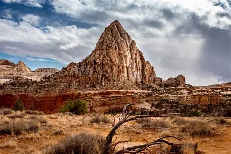 A dramatic, jagged rock formation rises from the arid, shrub-dotted desert landscape under a partly cloudy sky, with dry grasses and a twisted, leafless tree in the foreground—an ideal setting for recreational land or ranch for sale.