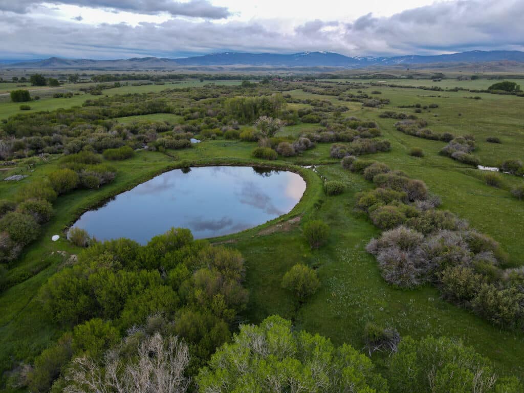 wildlife ranch wyoming