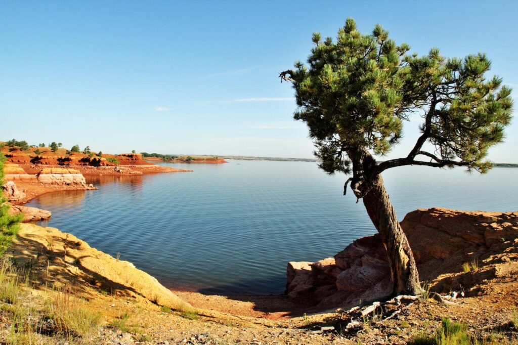 A lone tree grows on rocky, red-orange terrain beside a calm lake under a clear blue sky; ideal recreational land with gently curving shoreline, scattered vegetation, and distant land for sale across the water.