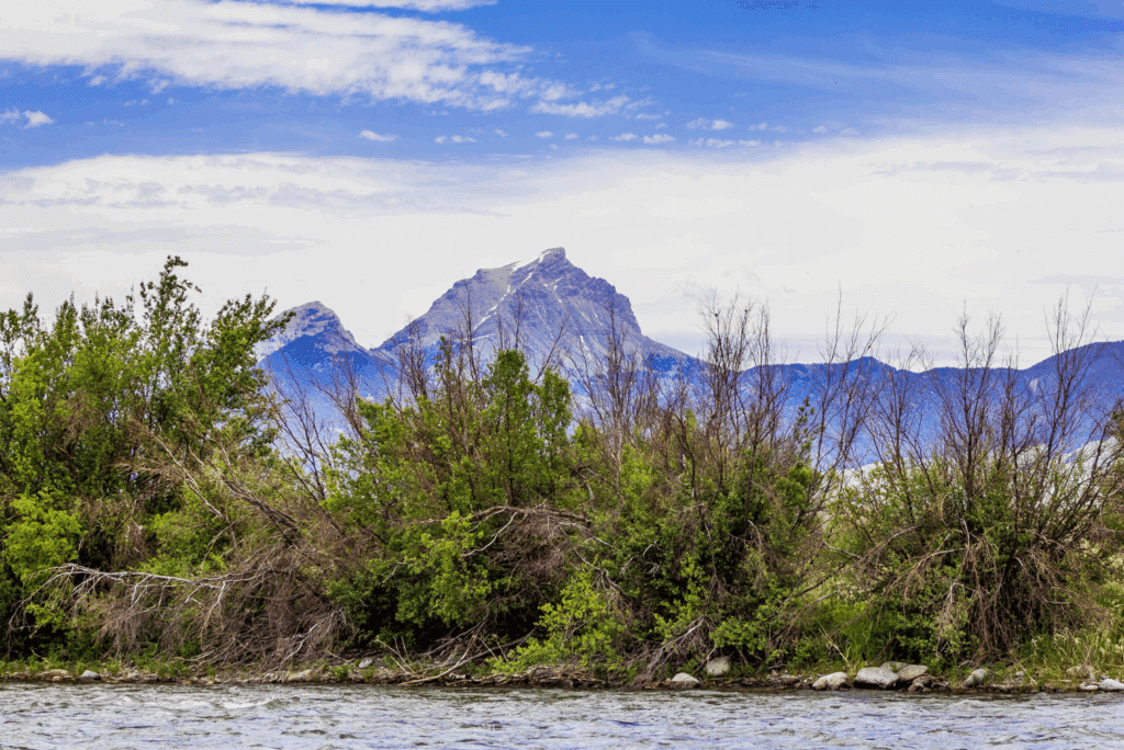 A scenic view of a river with green shrubs and leafless branches in the foreground, and a tall, snow-capped mountain under a partly cloudy blue sky—perfect for those seeking a serene cattle ranch or unique hunting property.